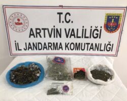 Artvin’de jandarmanın uyuşturucu operasyonunda 3 kişi gözaltına alındı