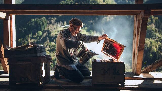 Korumalı: Borçka Belediye Başkanlığının Düzenlediği Fotoğraf Yarışması Sonuçlandı