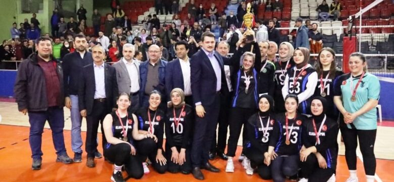FİLENİN SULTANLARI BORÇKA(KLASKÜR) OLDU