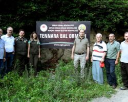 Borçka’da İki Yeni Bal Ormanı Daha Arıcılarımızın Hizmetinde