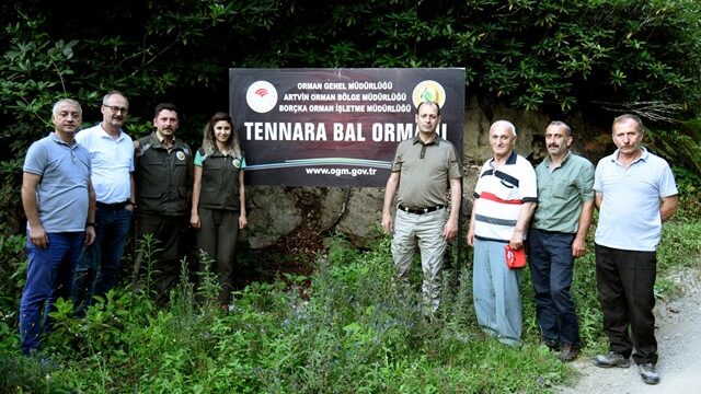 Borçka’da İki Yeni Bal Ormanı Daha Arıcılarımızın Hizmetinde