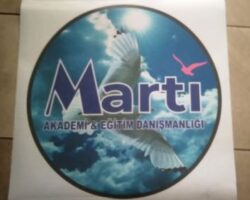 CAM GİYDİRME BASKI İŞİMİZ