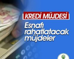 Borçka Esnaf ve Sanatkarlar Odası Başkanı Özkurt, çekilecek kredi şartlarını açıkladı