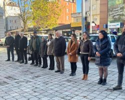 “Gazetecilerin mesleki hakları korunmalıdır”