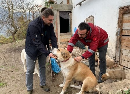 Sahipli kedi ve köpeklerin kaydı için son günü bitti