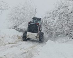 Artvin ve İlçelerinde Kar Esareti