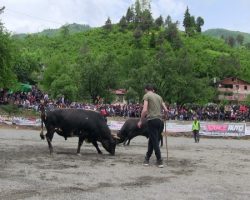 2. Çğala Vadisi Festivali Sona Erdi