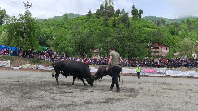 2. Çğala Vadisi Festivali Sona Erdi