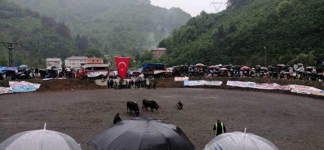 Borçka’da Çğala Vadisi Kültür, Sanat, Spor Turizm ve Boğacılar Derneği Festivali Müthiş İlgi Gördü