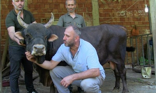 24 Yaşında 19 Şampiyonluğu bulunan ŞİMŞEK ilgi görmeye devam ediyor