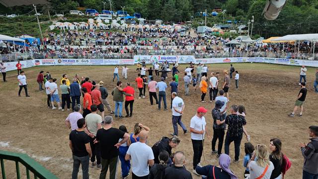 Artvin Kafkasör Türkiye Boğa Güreşleri Şampiyonasına Ev Sahipliği Yaptı