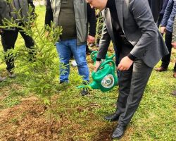 Borçka’da Cumhuriyetimizin 100. Yılına Özel Fidan Dikimi Yapıldı