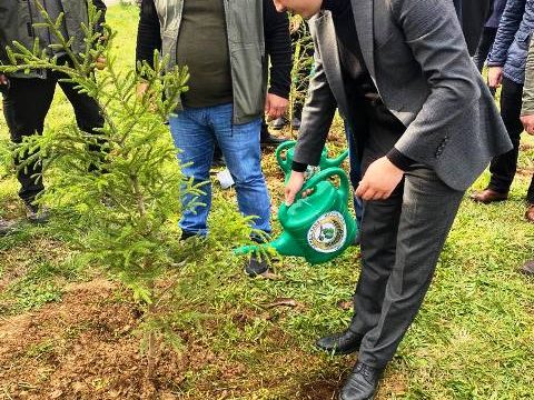 Borçka’da Cumhuriyetimizin 100. Yılına Özel Fidan Dikimi Yapıldı