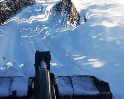 Kar Artvin genelinde 14 köy yolunu kapadı