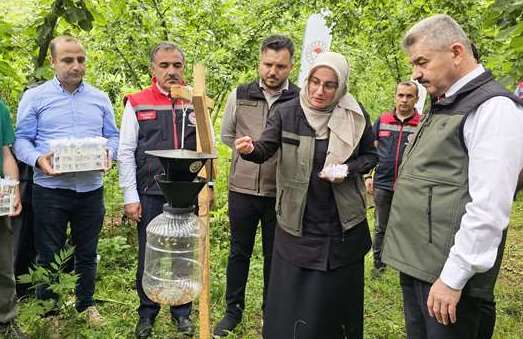 Korumalı: Borçka – Muratlı Köyü’nde, samuray arılar doğaya salındı