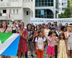 Korumalı: Borçka’da Kolektif Vegan Festivali Yapıldı