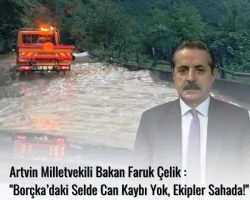 Korumalı: Geçmiş Olsun Artvin