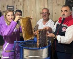 Korumalı: Murgul’da 2025 yılının ilk bal sağımı yapıldı