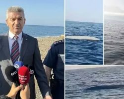 Korumalı: HOPA’DA İNSANSIZ DENİZ ARACI İMHA EDİLDİ