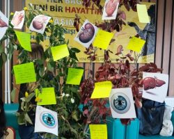 Korumalı: Bir organ, bir hayat yaşamı yeşertmeye var mısın?