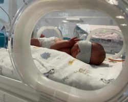 Borçka D.H. “Dünya Prematüre Günü” dolayısıyla bilgilendirmelerde bulundu