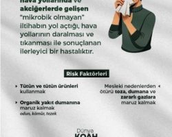 Borçka D.H. “KOAH Hastalığı” Hakkında Bilgilendirme Yaptı