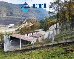 Eti Bakır’dan Borçka ve Murgul’a sokak hayvanları için 1 milyon TL’lik destek