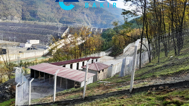 Eti Bakır’dan Borçka ve Murgul’a sokak hayvanları için 1 milyon TL’lik destek