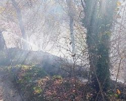 Fındıklı Köyünde Arı Petekhane Yangını