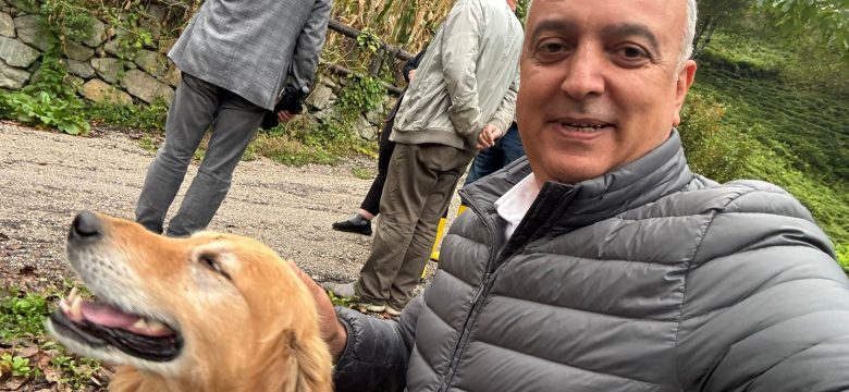 Başkan Orhan, “Borçka sınırları içinde sahipsiz hayvan gördüğümüzde toplamaya devam edeceğiz”