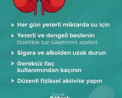 Böbrek hastalıkları küresel bir halk sağlığı sorunudur