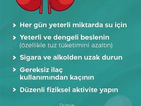 Böbrek hastalıkları küresel bir halk sağlığı sorunudur