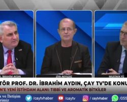 DOĞASI, TARİHİ, ÜRETİMİ VE ENERJİSİYLE BİR BAŞKA GÖZDE VE GÜZEL İLÇE BORÇKA