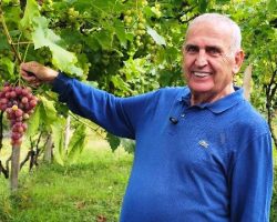 Trapende “MESAŞUNA”  Adlı Doğal Şarap Üretimi