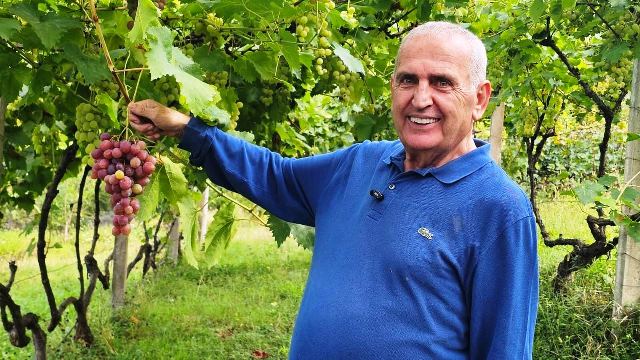 Trapende “MESAŞUNA”  Adlı Doğal Şarap Üretimi