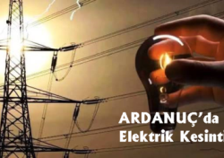 Ardanuç’da elektrik kesintisi